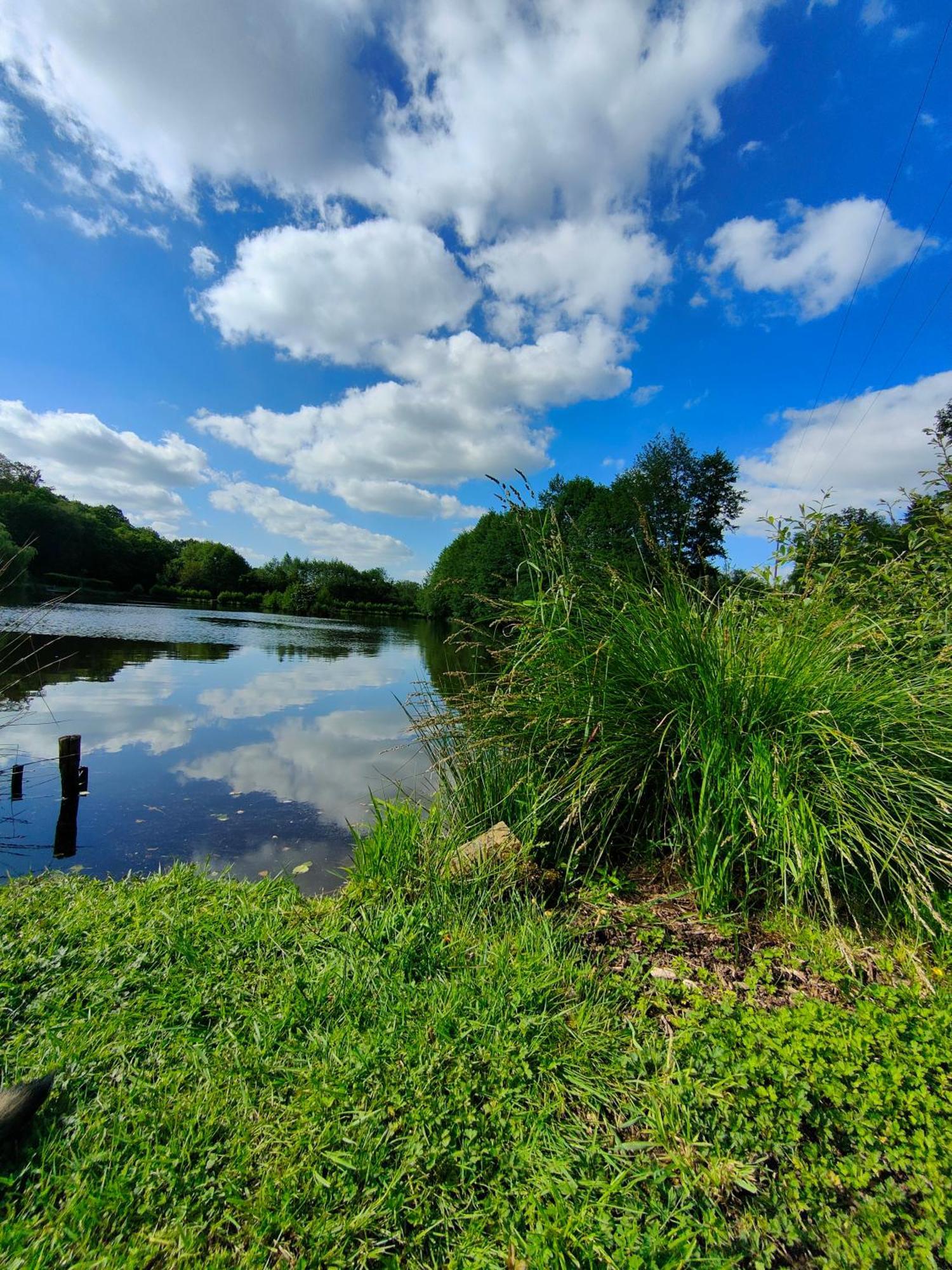 Gite De L Etang Du Planchon Balledent エクステリア 写真